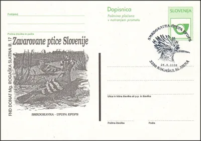 SMRDOKAVKA - UPUPA EPOPS
